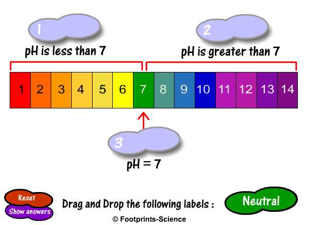 Acids And Bases Ph Scale Worksheet / Acids Bases And Ph Good Science
